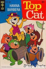 Top Cat #21